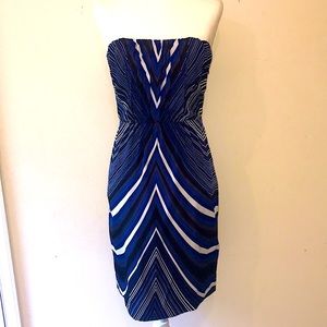 The Limited A-Line Strapless Dress - Sz 0